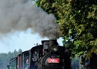 2021.09.25 JHMD U46.101 Jindřichův Hradec - Nová Bystřice (10)